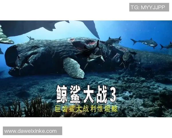 奥兰斯与布雷斯激战正酣谁能在这场对决中笑到最后 奥兰斯与布雷斯激战正酣谁能在这场对决中笑到最后