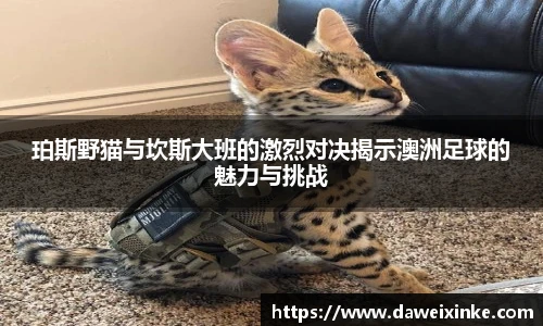 678体育手机下载